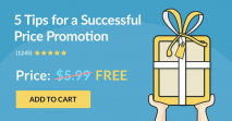 5 Tips For a Successful Price Promotion